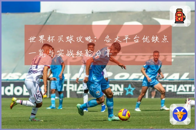 世界杯买球攻略：各大平台优缺点一览与实战经验分享