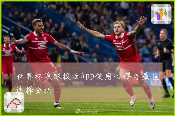 世界杯滚球投注App使用心得与最佳选择分析
