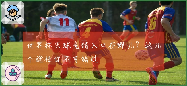 世界杯买球竞猜入口在哪儿？这几个途径你不可错过