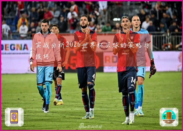 实战分析2026世界杯买球的策略与技巧
