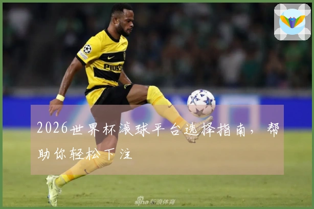 2026世界杯滚球平台选择指南，帮助你轻松下注