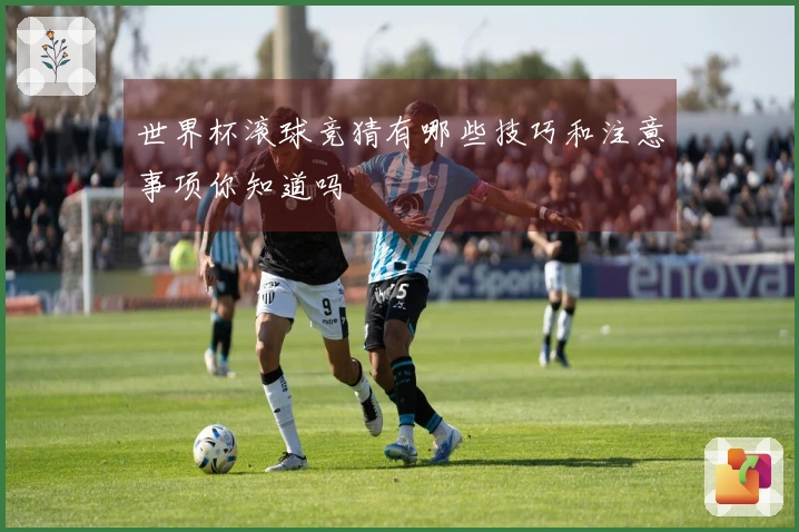 世界杯滚球竞猜有哪些技巧和注意事项你知道吗