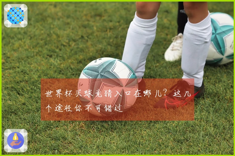 世界杯买球竞猜入口在哪儿？这几个途径你不可错过