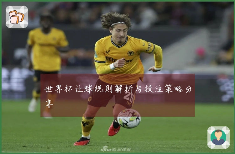 世界杯让球规则解析与投注策略分享