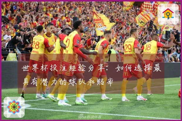 世界杯投注经验分享：如何选择最具有潜力的球队和赔率