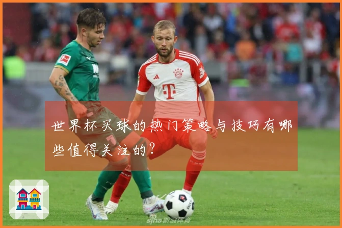 世界杯买球的热门策略与技巧有哪些值得关注的？