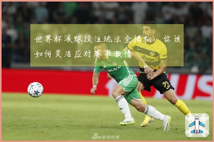 世界杯滚球投注玩法全揭秘，你该如何灵活应对赛事激情