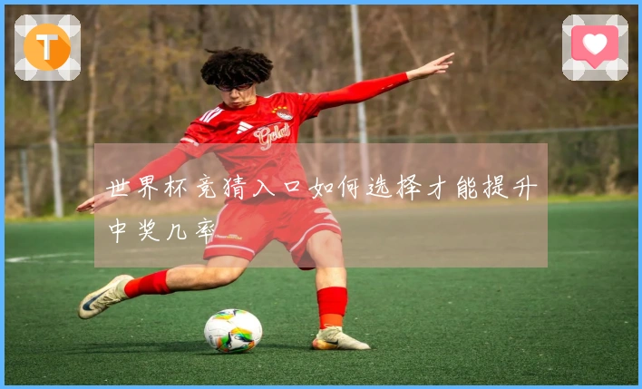 世界杯竞猜入口如何选择才能提升中奖几率