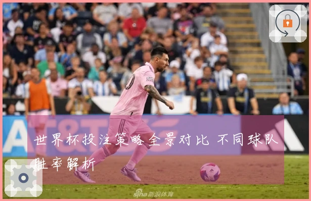 世界杯投注策略全景对比 不同球队胜率解析