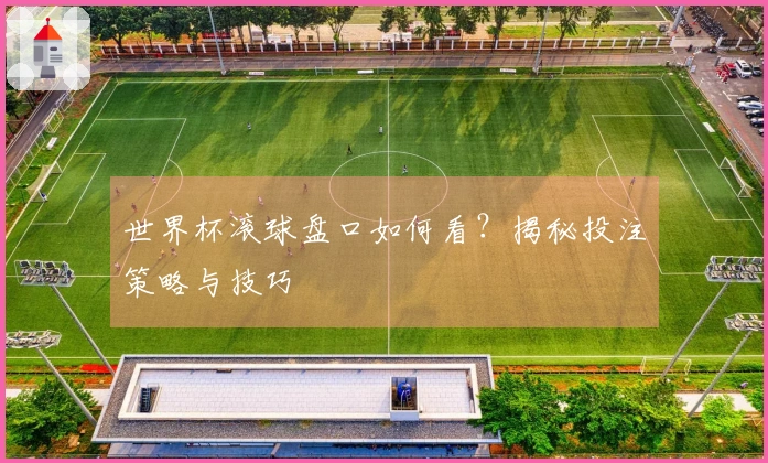 世界杯滚球盘口如何看？揭秘投注策略与技巧
