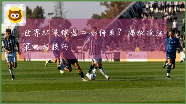 世界杯滚球盘口如何看？揭秘投注策略与技巧