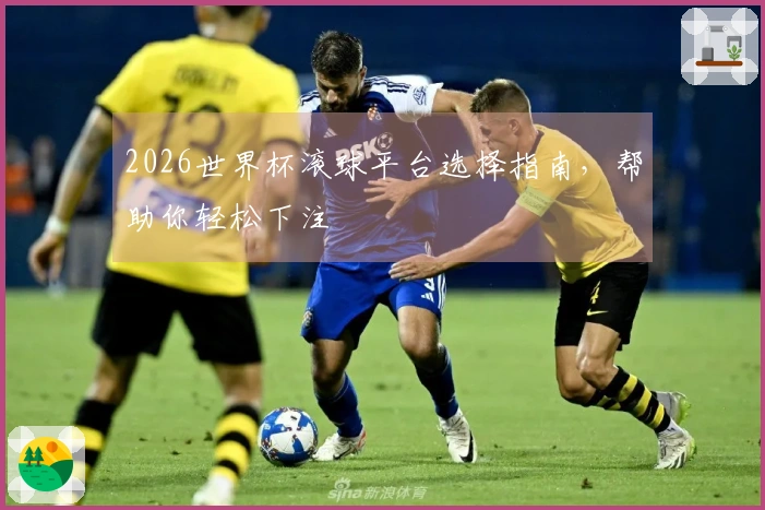 2026世界杯滚球平台选择指南，帮助你轻松下注