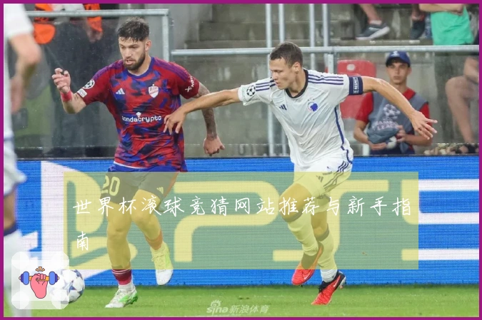 世界杯滚球竞猜网站推荐与新手指南